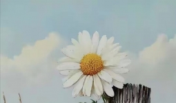 ں֮